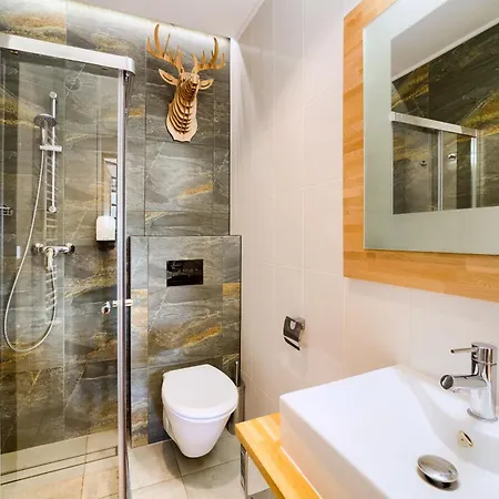 Wellness Zloty Widok Szczyrk