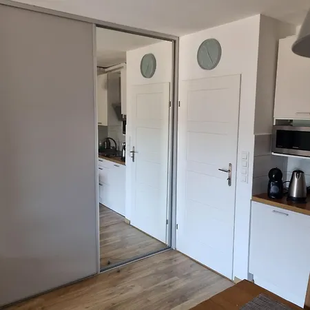 Wellness Zloty Widok Apartment