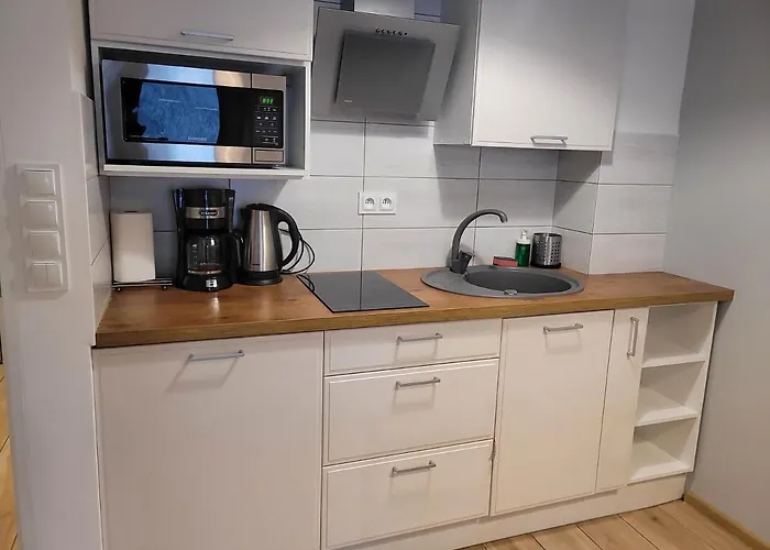 Apartment Wellness Zloty Widok